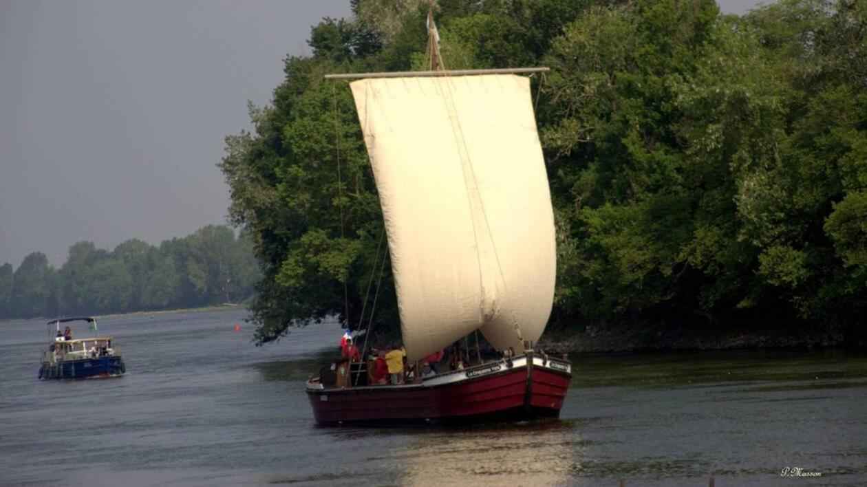 Готель Les Orkys De Loire Chalonnes-sur-Loire Екстер'єр фото